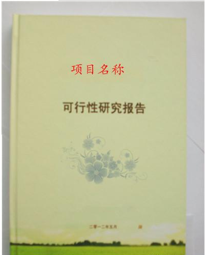 项目可研报告代写.png 项目可研报告代写.png